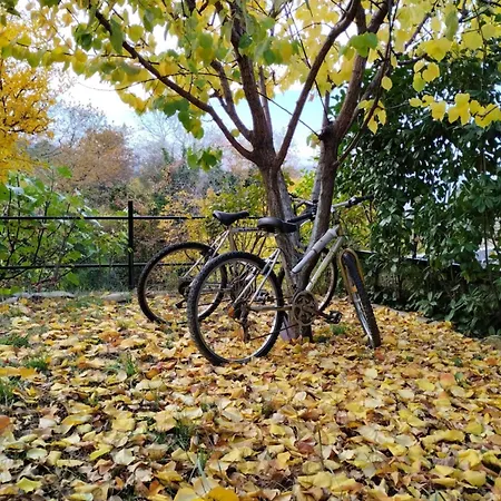 4 Seasons Relaxing Tatil Evi *